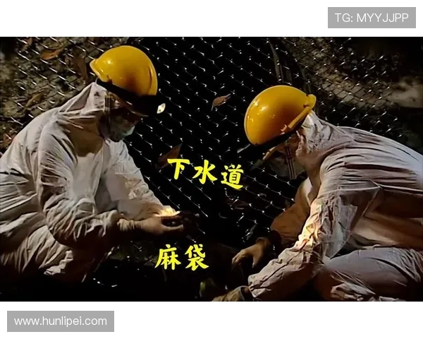 浜垮厓钖祫鍥板眬锛佷笁宸ㄥご鑰佸寲 + 鏍稿績鍑鸿蛋锛屽媷澹簤鍐犵獥鍙f亹姘镐箙鍏抽棴